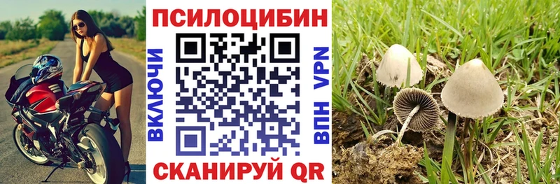 Купить где  Буй  Псилоцибиновые грибы ЛСД 